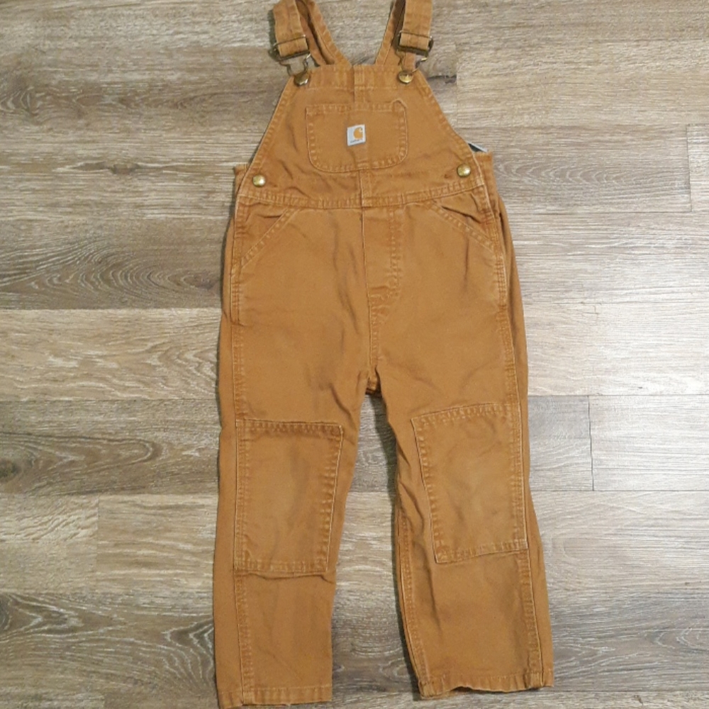 Carhartt overalls 🐓🚜